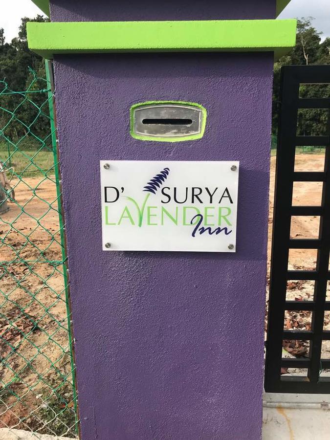 D' Surya Lavender Inn Pantai Cenang  Kültér fotó